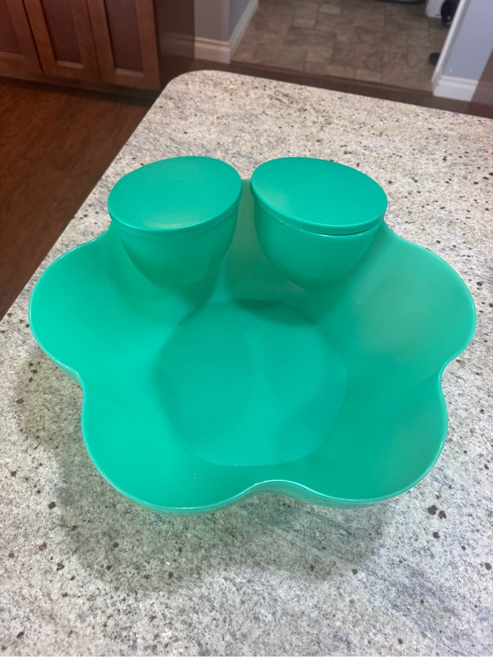Tupperware chip and dip bowl